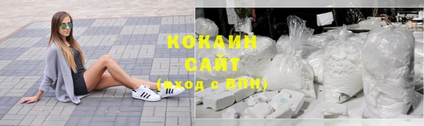 ГАЛЛЮЦИНОГЕННЫЕ ГРИБЫ Бородино