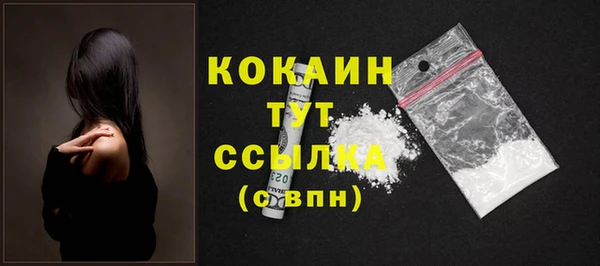ГАЛЛЮЦИНОГЕННЫЕ ГРИБЫ Бородино