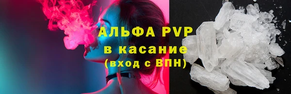 ГАЛЛЮЦИНОГЕННЫЕ ГРИБЫ Бородино