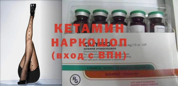 ГАЛЛЮЦИНОГЕННЫЕ ГРИБЫ Бородино