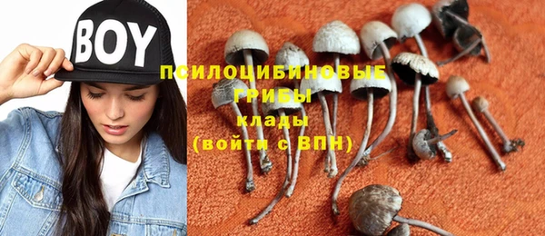 амф Белокуриха
