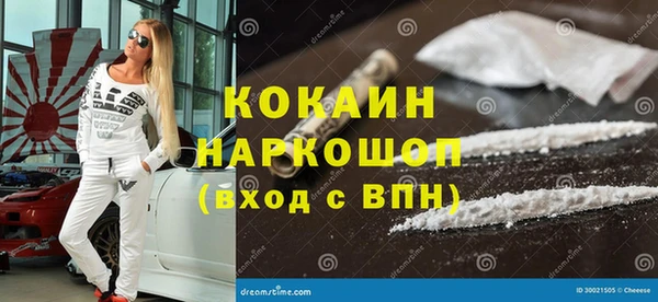 ГАЛЛЮЦИНОГЕННЫЕ ГРИБЫ Бородино