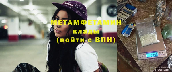 ГАЛЛЮЦИНОГЕННЫЕ ГРИБЫ Бородино