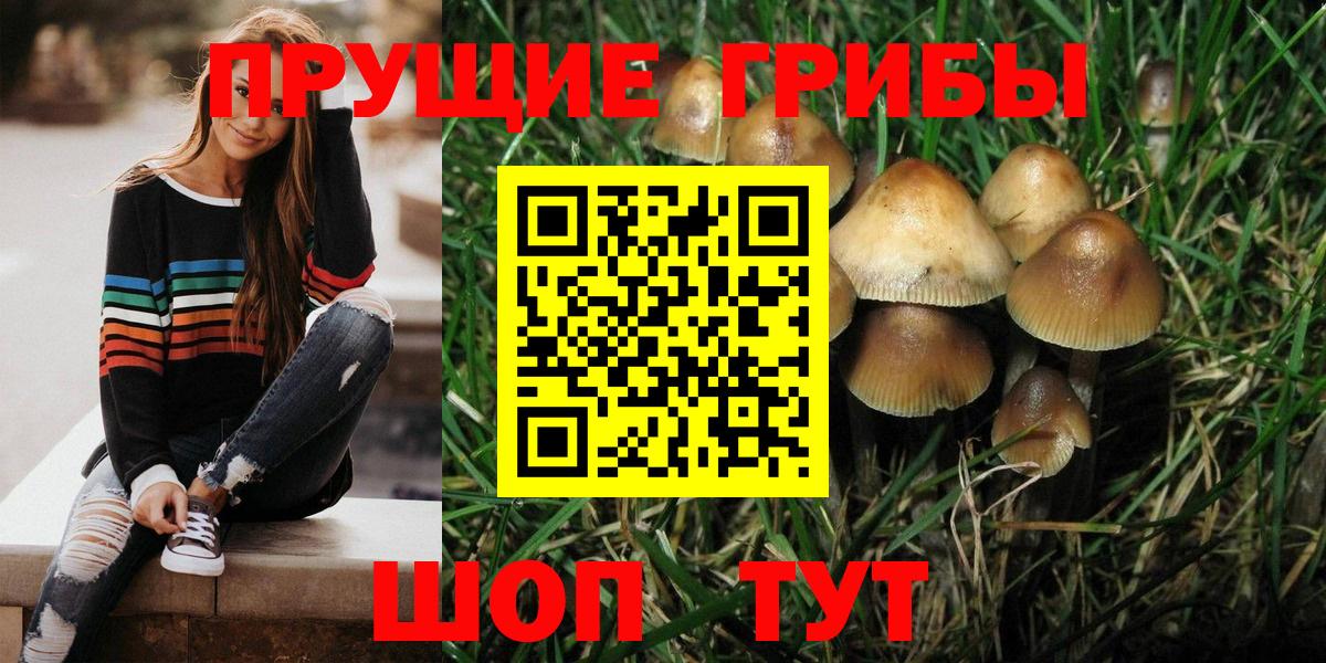Псилоцибиновые грибы Psilocybe Воскресенск