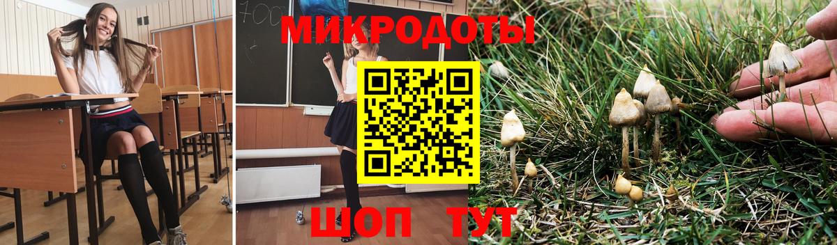 Воскресенск  Галлюциногенные грибы GOLDEN TEACHER  Вход с VPN 