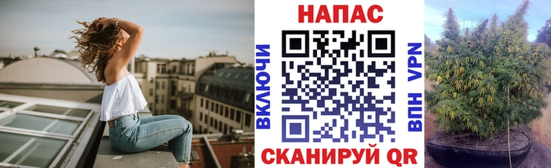 магазин продажи   Воскресенск  Бошки Шишки тримм 
